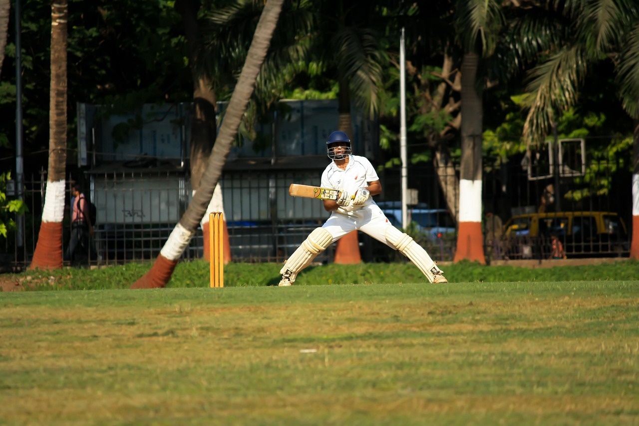9Wickets Pro